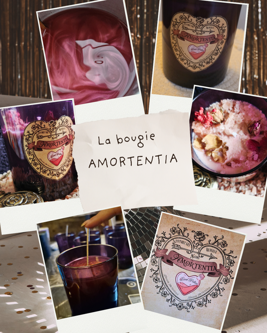 Amortentia